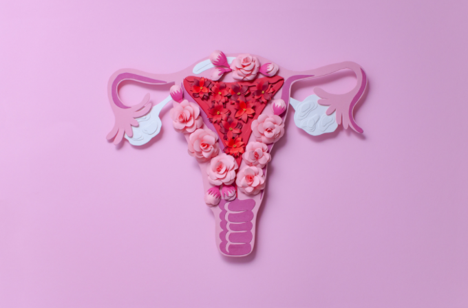 rahim-uterus-cesitleri